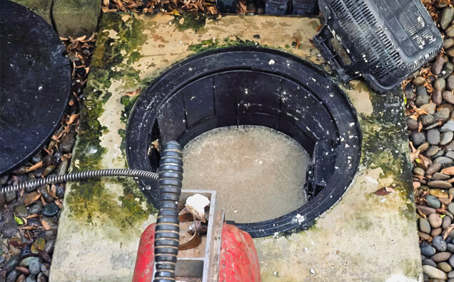 https://blockeddrainsrossmoyne.com.au/uploads/2025/07/blocked-drains-820453.jpg