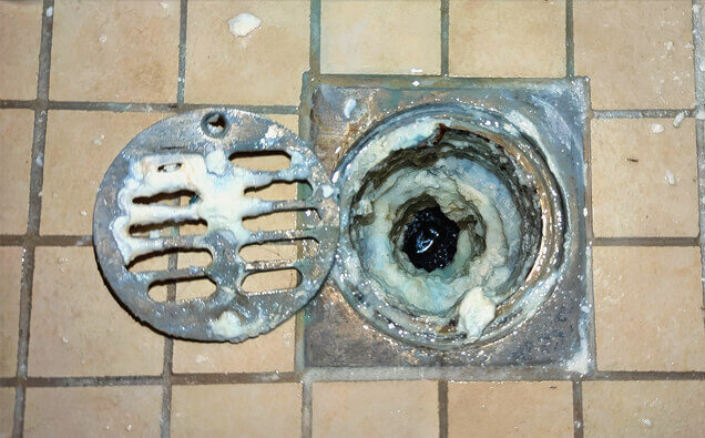 https://blockeddrainsrossmoyne.com.au/uploads/2025/07/blocked-shower-drains-33151.jpg