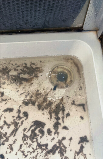 https://blockeddrainsrossmoyne.com.au/uploads/2025/07/blocked-shower-drains-35598.jpg