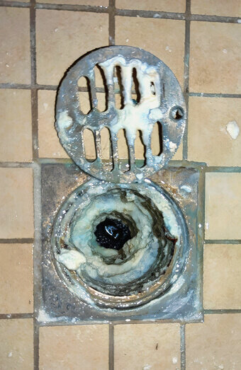 https://blockeddrainsrossmoyne.com.au/uploads/2025/07/blocked-shower-drains-86331.jpg
