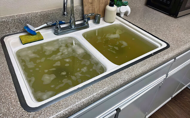 https://blockeddrainsrossmoyne.com.au/uploads/2025/07/blocked-sink-36283.jpg