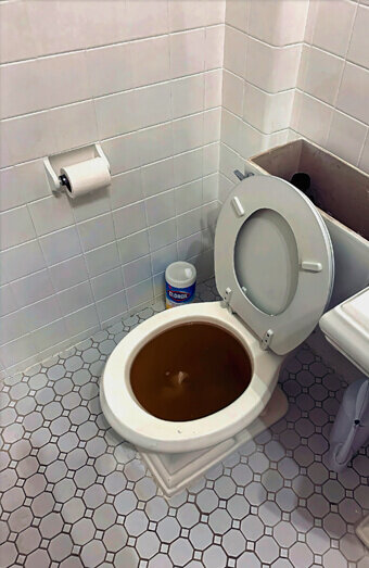 https://blockeddrainsrossmoyne.com.au/uploads/2025/07/blocked-toilet-42230.jpg