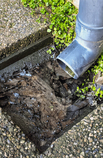 https://blockeddrainsrossmoyne.com.au/uploads/2025/07/hero-blocked-sewers-20143.jpg