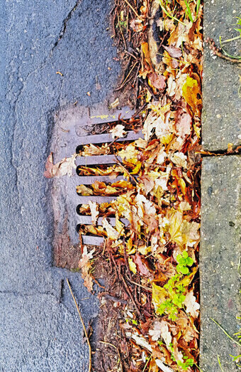 https://blockeddrainsrossmoyne.com.au/uploads/2025/07/stormwater-drains-48051.jpg