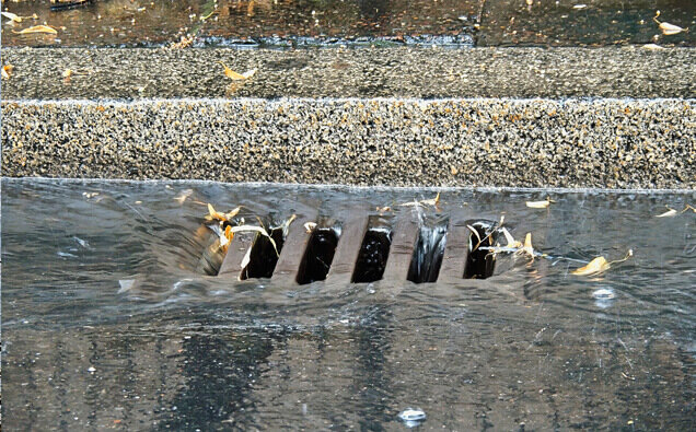 https://blockeddrainsrossmoyne.com.au/uploads/2025/07/stormwater-drains-54996.jpg